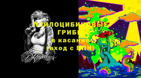 ГАЛЛЮЦИНОГЕННЫЕ ГРИБЫ Алзамай